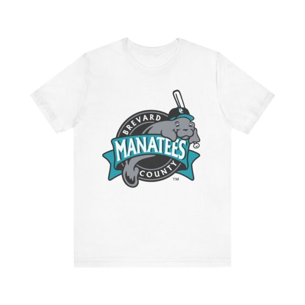Brevard County Manatees Baseball